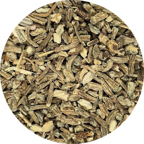 Echinacea Root