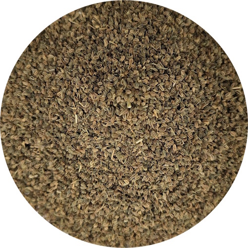 Celery Seed - Rheumatic and Gout Pain